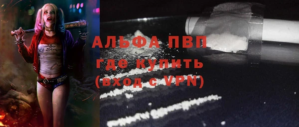 крисы Мегион