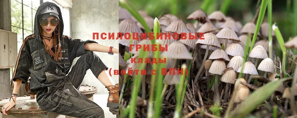 гидропоника Магас