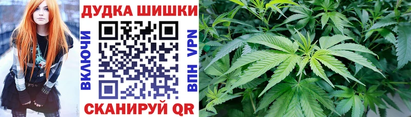 Купить где  Олонец  МАРИХУАНА сатива 